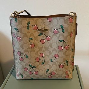 Coach cherry bag